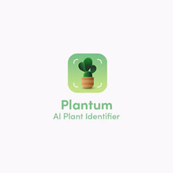 plantum