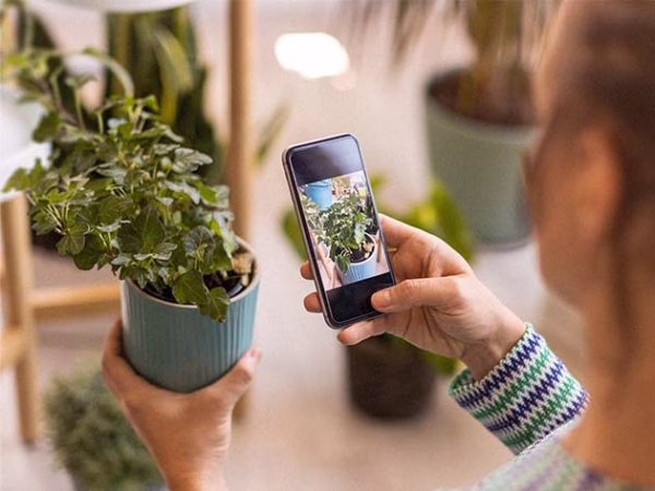 Plantum - AI Plant Identifier Premium (iOS Only) - Image 4