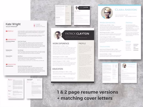 The Freesumes Ultimate Job Search Asset Bundle - Image 2