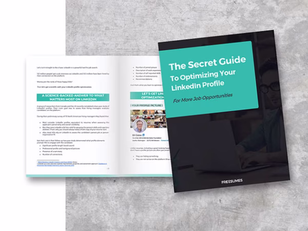 The Freesumes Ultimate Job Search Asset Bundle - Image 3